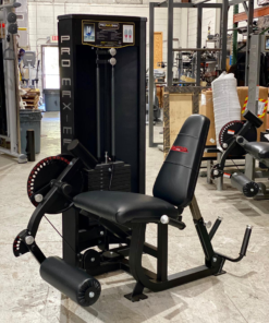 Promaxima P-5800 Combo Leg Extension/Leg Curl (Black) - NEW